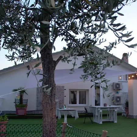 Terrazza Zalamella Bed & Breakfast