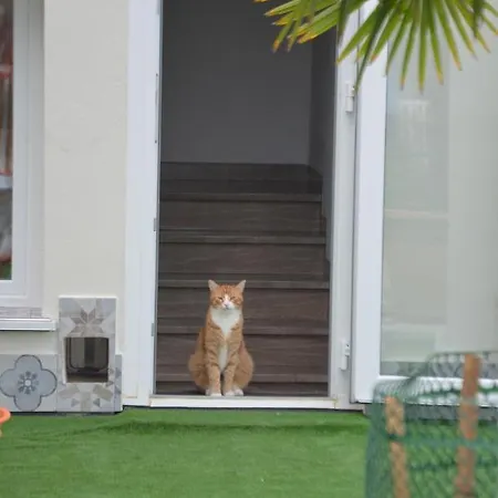 Terrazza Zalamella Ravenna