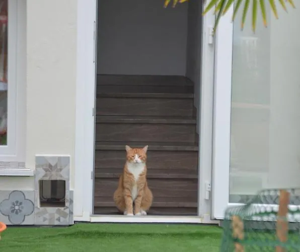 Terrazza Zalamella Ravenna